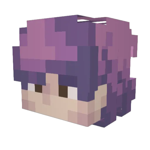Skoompy Minecraft avatar head, 3D render