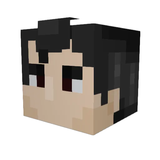 Skoonahy Minecraft avatar head, 3D render