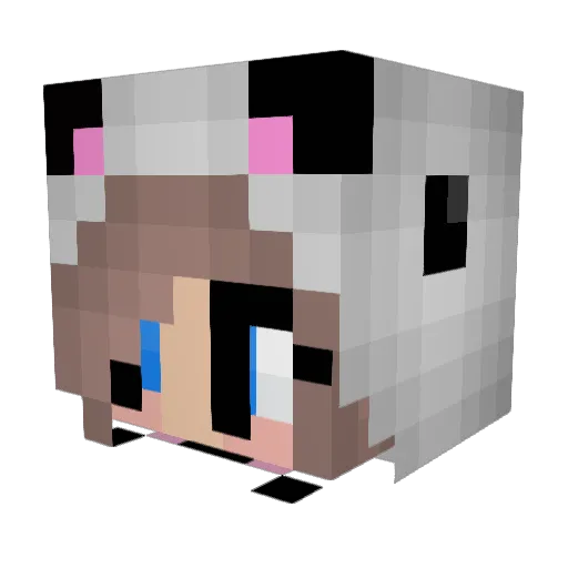 Skooooo Minecraft avatar head, 3D render