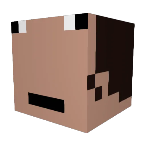 Skoopy123 Minecraft avatar head, 3D render