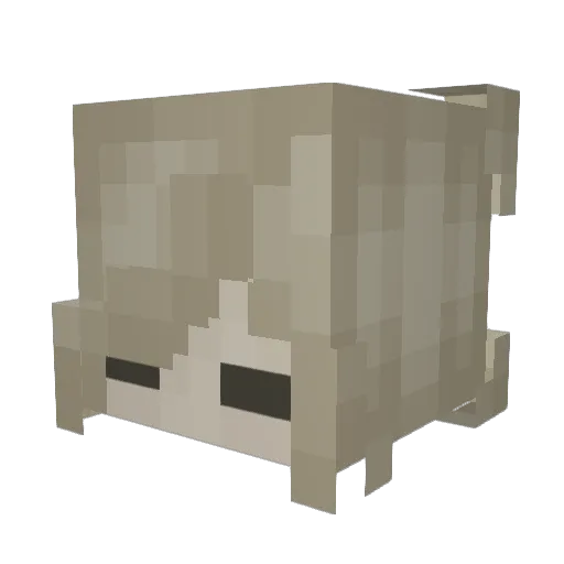 SkooterFairy Minecraft avatar head, 3D render