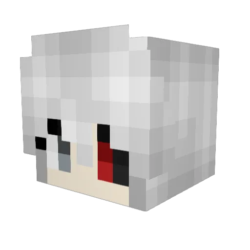 Skootrose Minecraft avatar head, 3D render