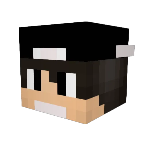 SkopeHD Minecraft avatar head, 3D render
