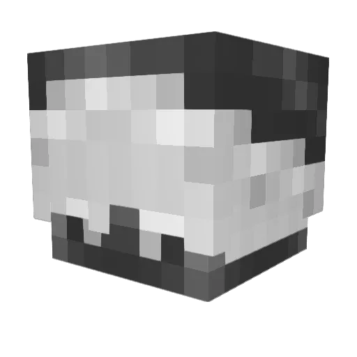 Skorchio75 Minecraft avatar head, 3D render