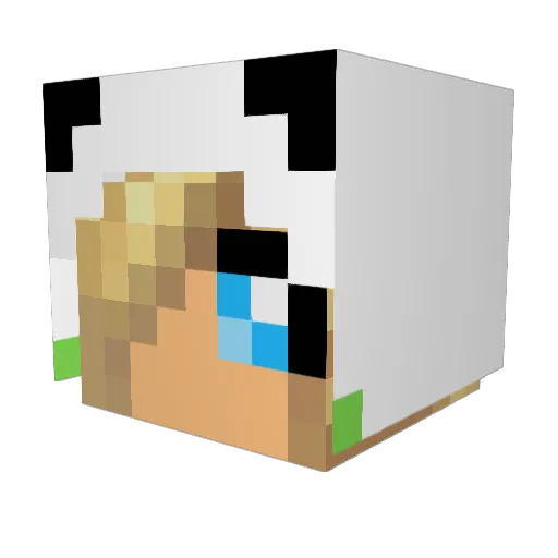 Skov2001 Minecraft avatar head, 3D render