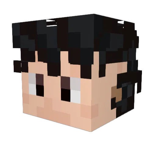 Skraczer Minecraft avatar head, 3D render