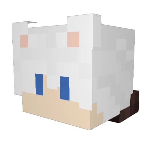 Skram1 Minecraft avatar head, 3D render