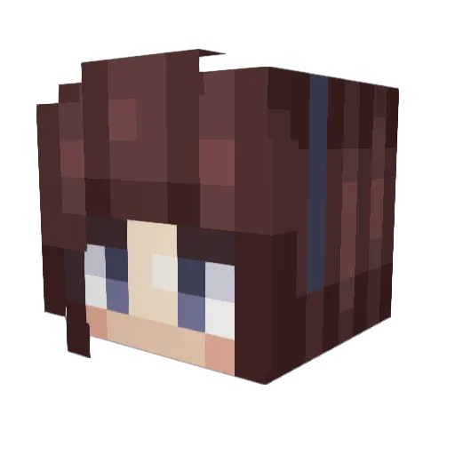 Skrapytina Minecraft avatar head, 3D render
