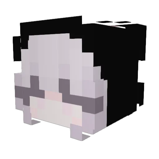 Skrat7 Minecraft avatar head, 3D render