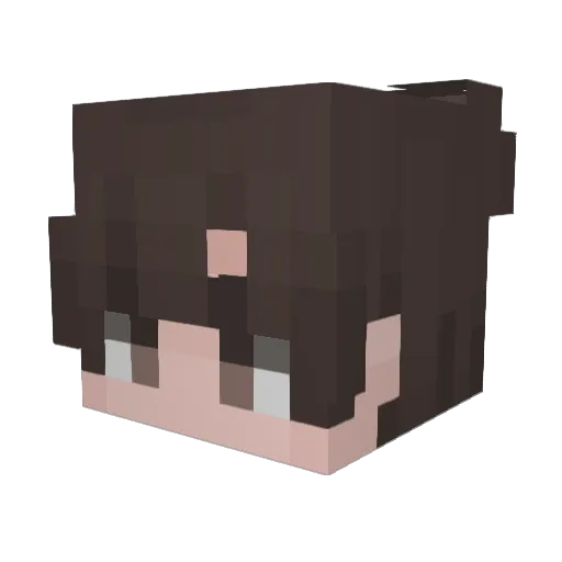 Skrillah Minecraft avatar head, 3D render