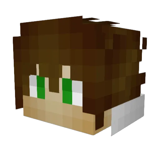 Skrillex14640 Minecraft avatar head, 3D render