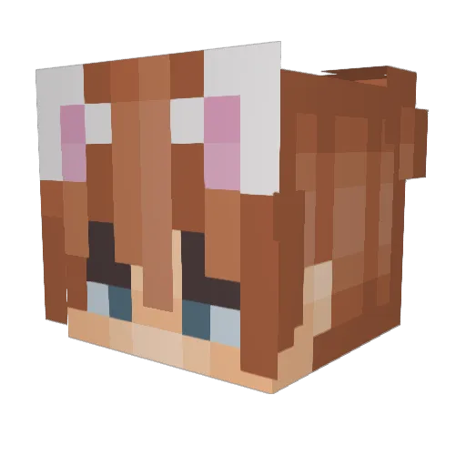 Skrimbob Minecraft avatar head, 3D render
