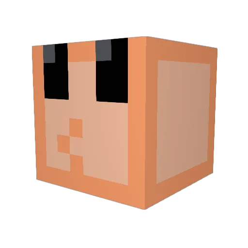 SkrimpBiskit Minecraft avatar head, 3D render