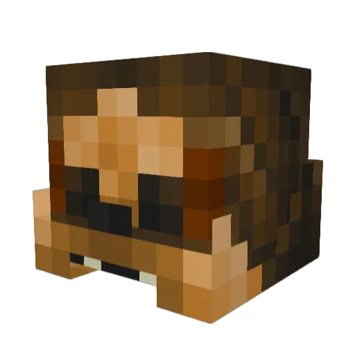 Skrundled Minecraft avatar head, 3D render