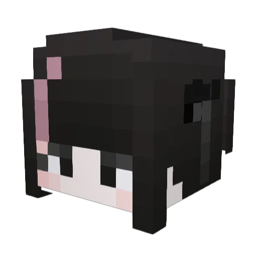 Skry667 Minecraft avatar head, 3D render