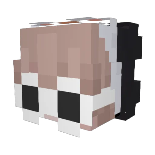 Skrylixi Minecraft avatar head, 3D render
