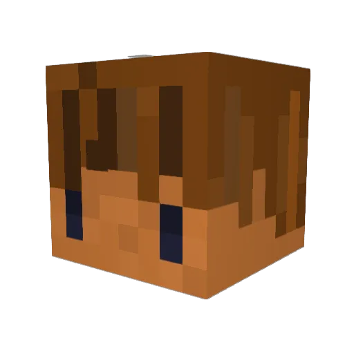 Skrzynius Minecraft avatar head, 3D render