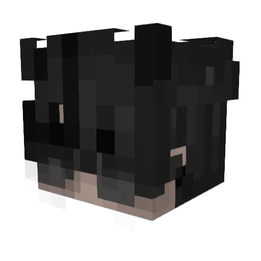 SkuIz Minecraft avatar head, 3D render