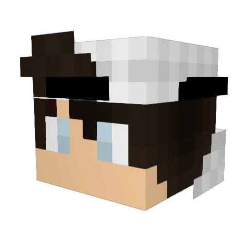 Skudu Minecraft avatar head, 3D render