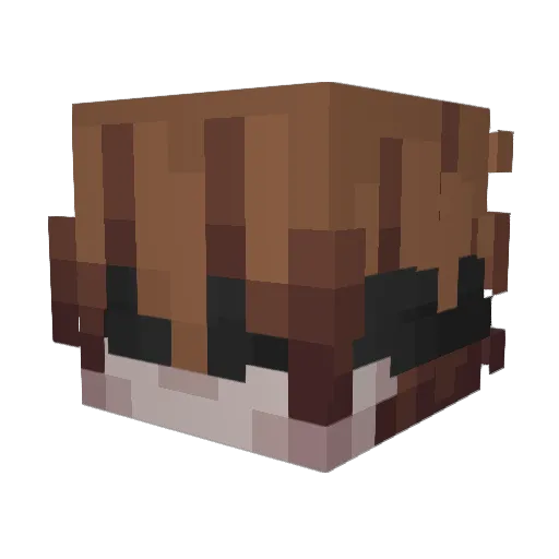 Skuggar_ Minecraft avatar head, 3D render