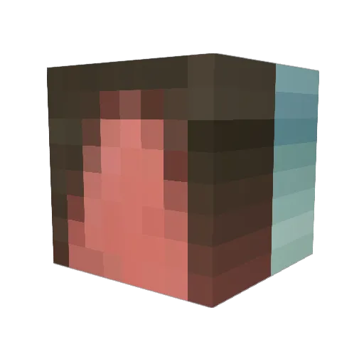 Skuidoo420 Minecraft avatar head, 3D render