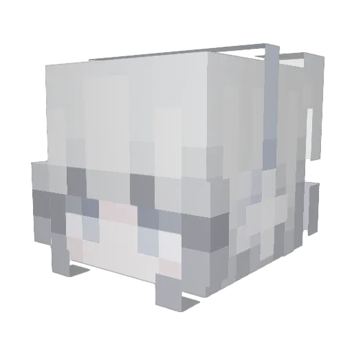 Skuirly Minecraft avatar head, 3D render