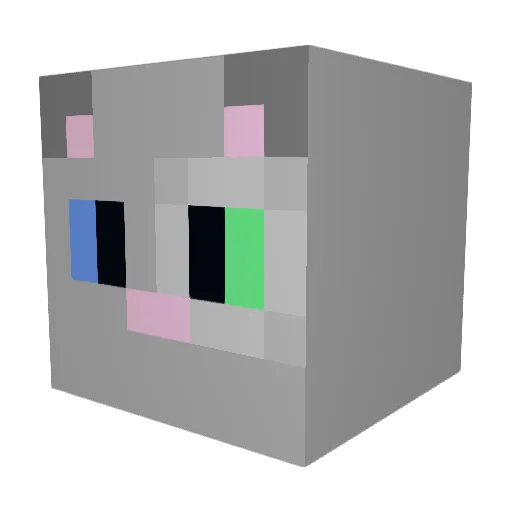 Skuirtle Minecraft avatar head, 3D render