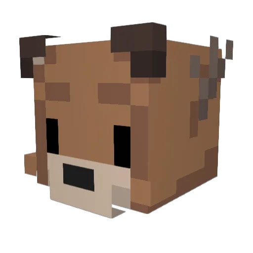 Skuliosis Minecraft avatar head, 3D render