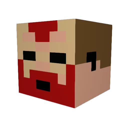 Skull628 Minecraft avatar head, 3D render