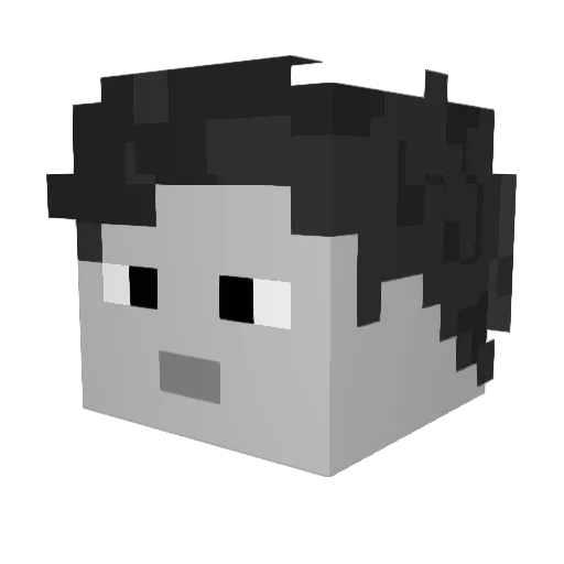 Skull6969 Minecraft avatar head, 3D render
