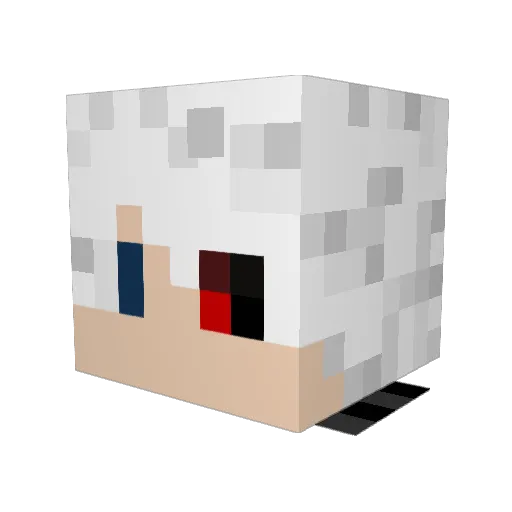 SkullCrusher88 Minecraft avatar head, 3D render