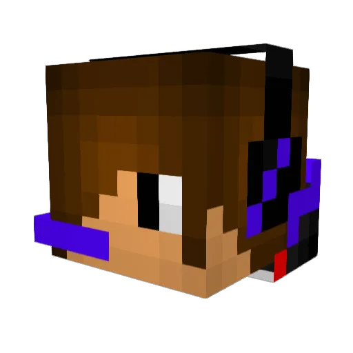 SkullCrusherA3 Minecraft avatar head, 3D render