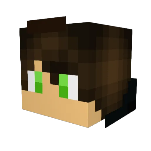 SkullDark123 Minecraft avatar head, 3D render