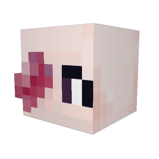 SkullFishh Minecraft avatar head, 3D render