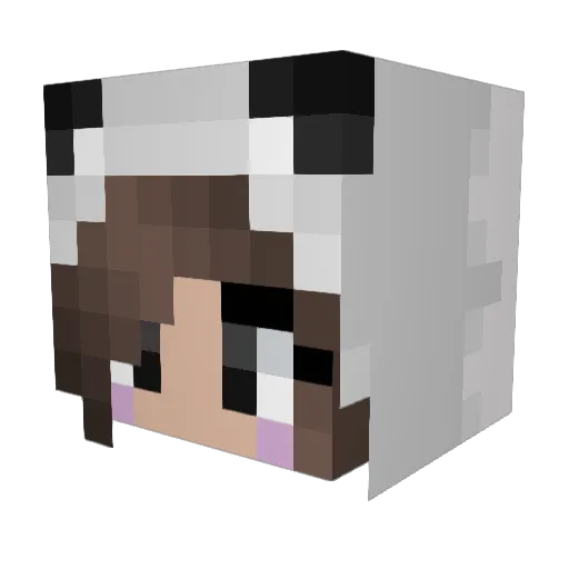 SkullGatorrr Minecraft avatar head, 3D render