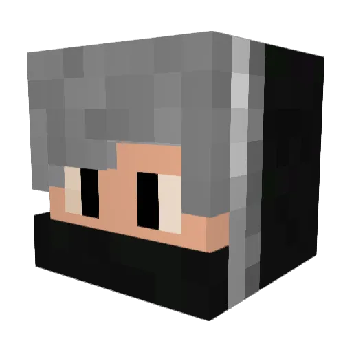 SkullQ9 Minecraft avatar head, 3D render