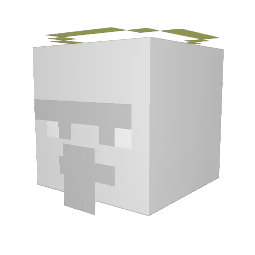 SkullTheMysterio Minecraft avatar head, 3D render