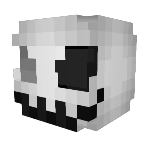 Skull_ACO Minecraft avatar head, 3D render