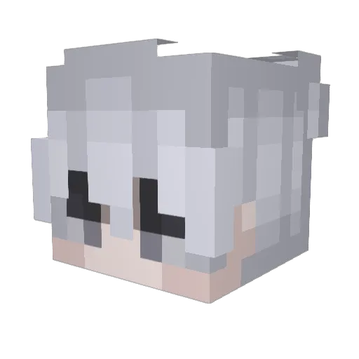 Skulladventure Minecraft avatar head, 3D render