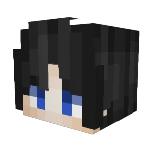 Skullbucket Minecraft avatar head, 3D render
