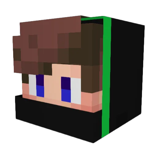 Skullcollector01 Minecraft avatar head, 3D render