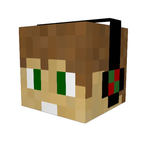 Skullduggery3 Minecraft avatar head, 3D render