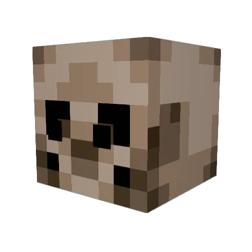 SkullerW Minecraft avatar head, 3D render