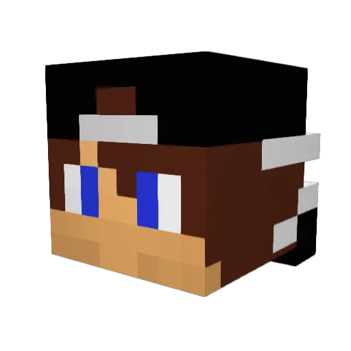 Skullkiller123 Minecraft avatar head, 3D render
