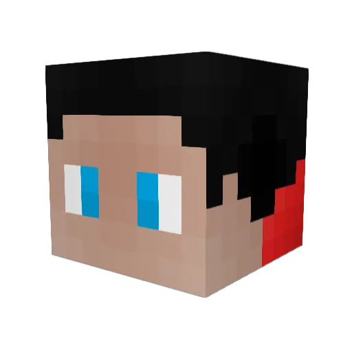 Skullking1802 Minecraft avatar head, 3D render