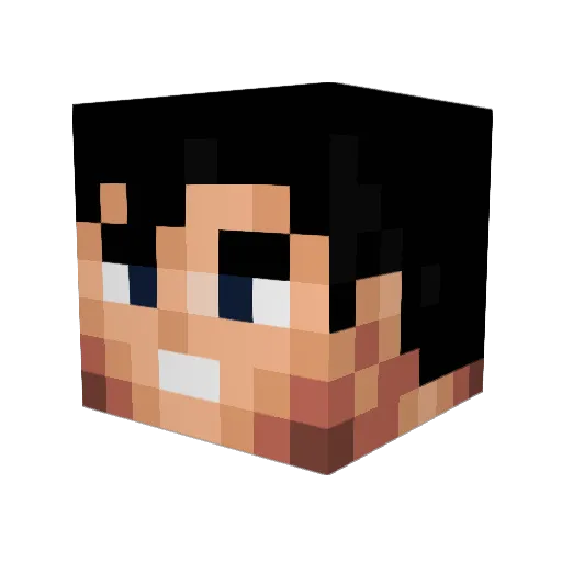 Skulls2o9 Minecraft avatar head, 3D render