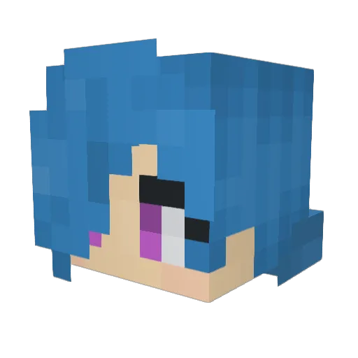 Skulltech150 Minecraft avatar head, 3D render