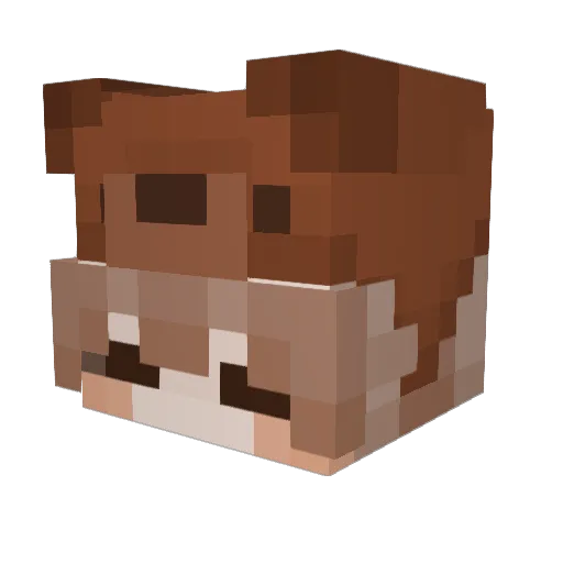 Skully321 Minecraft avatar head, 3D render