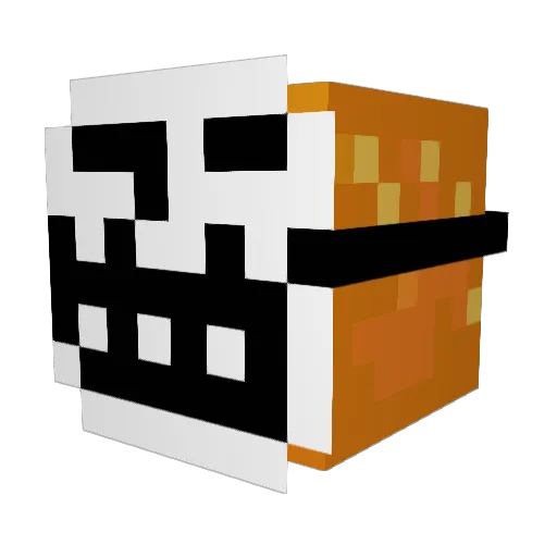 SkullyNelson Minecraft avatar head, 3D render
