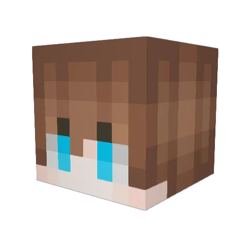 SkullyS_xD Minecraft avatar head, 3D render